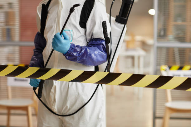 Professional Sewage Cleanup technician working in Freeport, IL